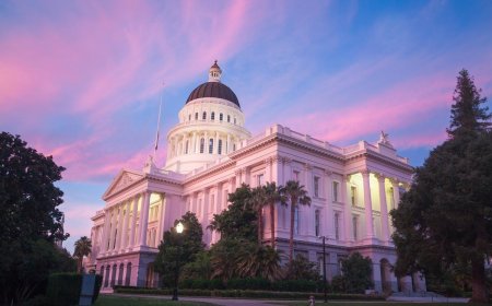 A Call to Action: Judicial Recourse to Countering SB 403 While it Legislates in California