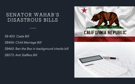 Examining the Impact of California State Senator Aisha Wahab's Controversial Bills
