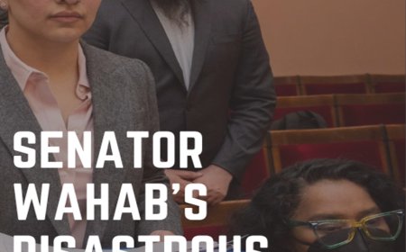 Senator Wahab’s Disastrous Bills: An Exclusive E-Book