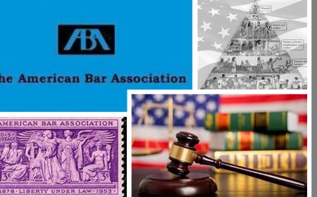 American Bar Association's Resolution 513  Exposes  True Intent of  SB403  to Profile Indian Americans