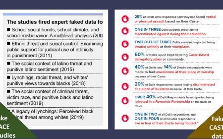 The Threat of Fabricated  Race and Caste Studies Driving Policy in United States is Real