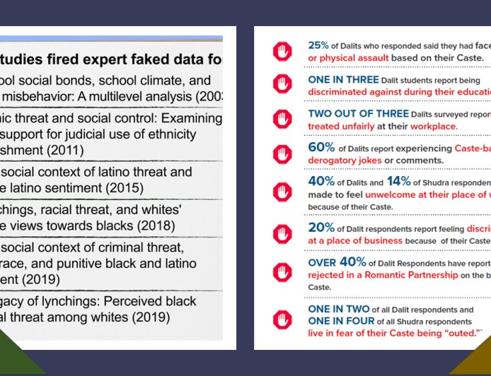 The Threat of Fabricated  Race and Caste Studies Driving Policy in United States is Real